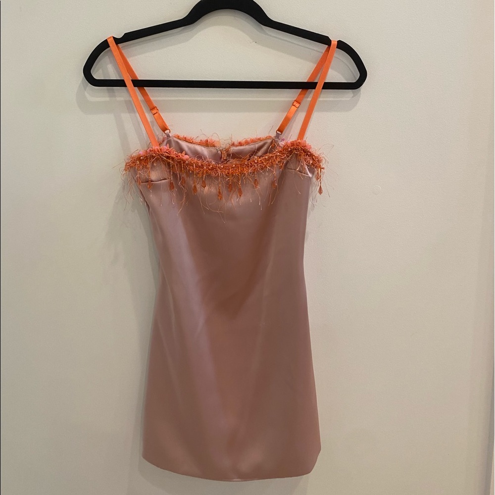 Danielle guizio mini dress